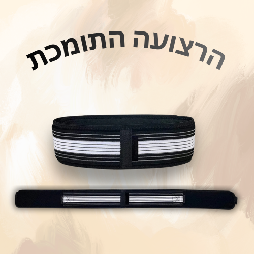 חגורת תמיכה
