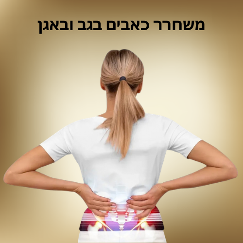 חגורת תמיכה